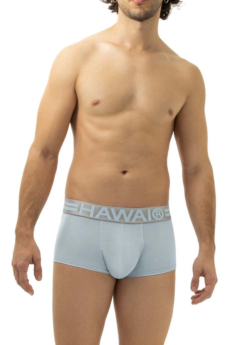 Hawai 41961 Microfibre Briefs Couleurs bleu clair