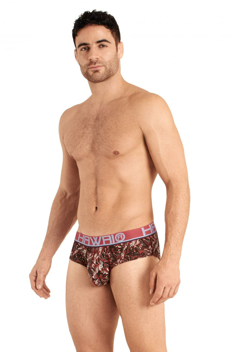 HAWAI 42026 Briefs Color Terracotta