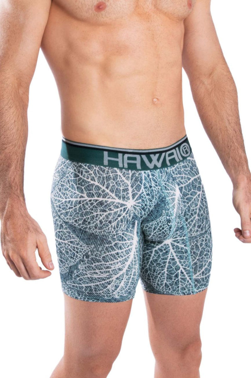 HAWAI 42104 Printed Boxer Briefs Color Green